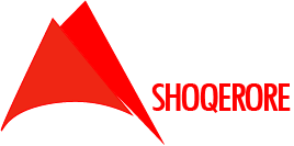 Instituti i Sigurimeve Shoqerore